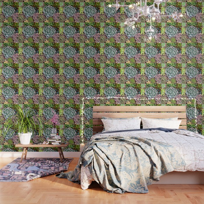 Succulent Garden Wallpaper