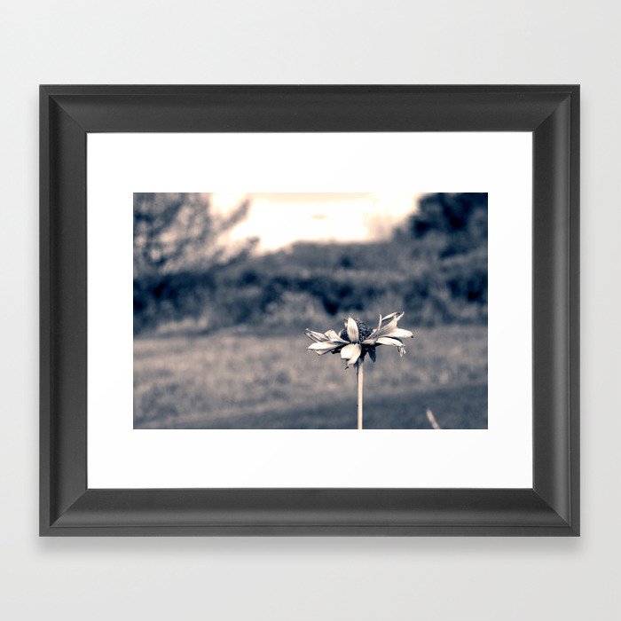 Black and White Flower Framed Art Print
