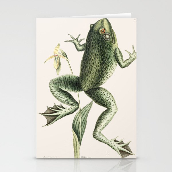 Bull Frog Stationery Cards