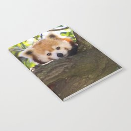 Red Panda Cutie Notebook