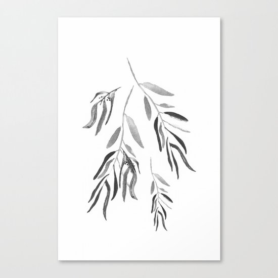 Eucalyptus Branches II Black And White Canvas Print