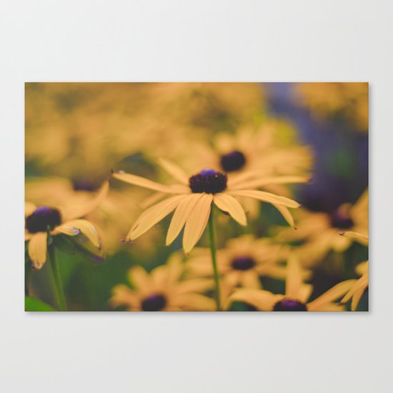 Its all Yellow Canvas Print