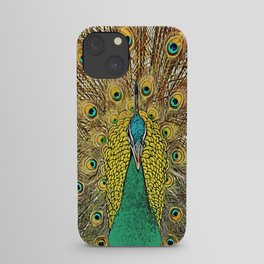 Lovely peacock color art iPhone Case