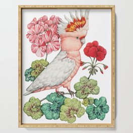 Parrot floral Serving Tray