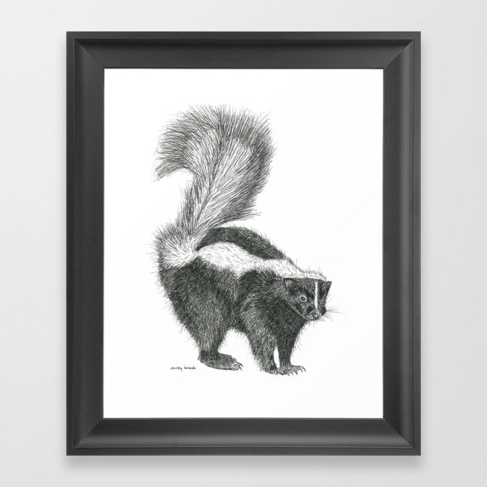 Skunk Framed Art Print