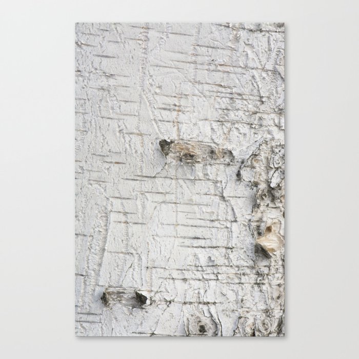 Birch bark pattern Canvas Print