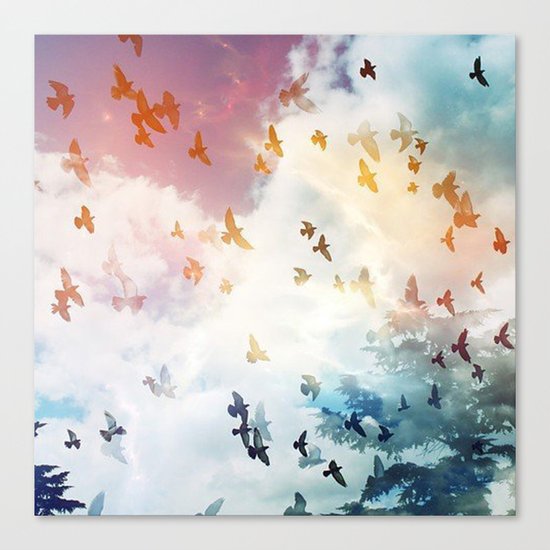 fly Canvas Print