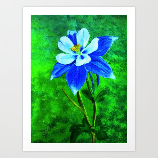 Blue columbine Art Print