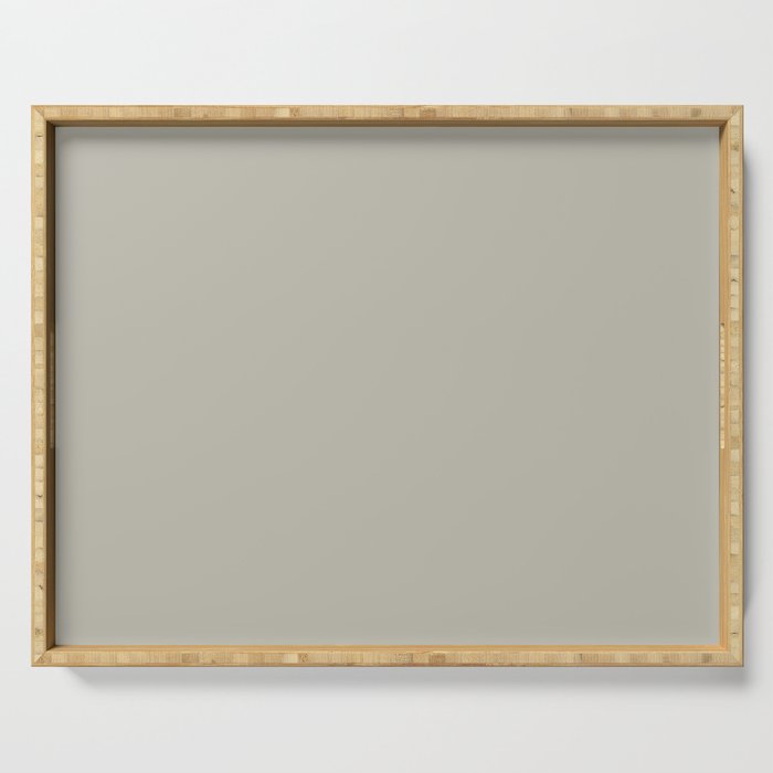 Pale Green Gray Solid Color Pairs PPG Hurricane Haze PPG1032-2 - All One Single Shade Hue Colour Serving Tray