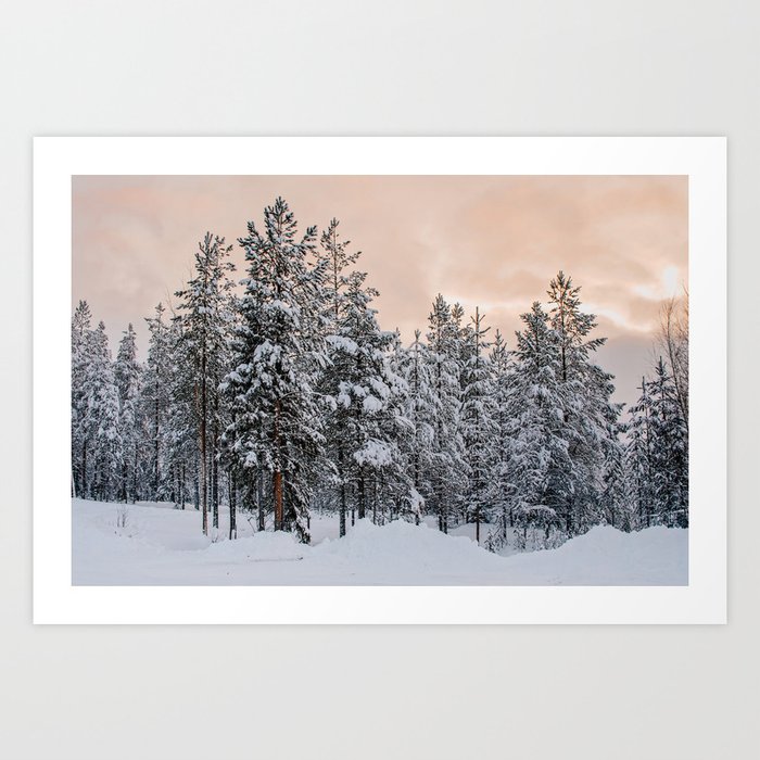 Pink skies and snowy tree tops | Lapland, Finland Art Print