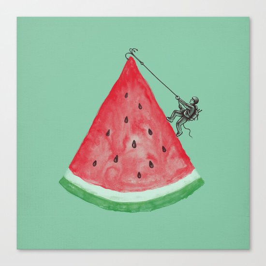 Summer Climb Canvas Print