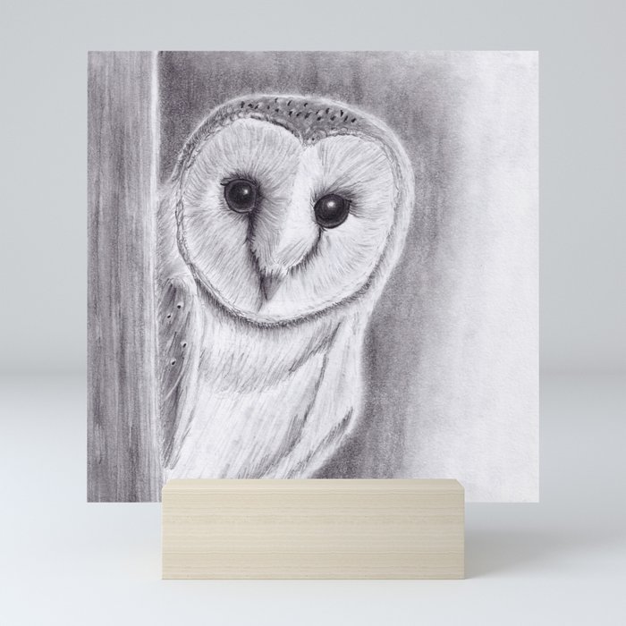 Barn Owl Pencil Drawings Mini Art Print