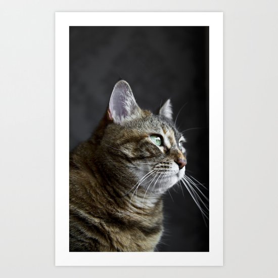 Cat portrait Art Print