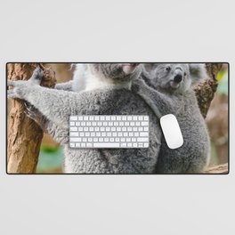 Australia Photography - Baby Koala With Mom Desk Mat