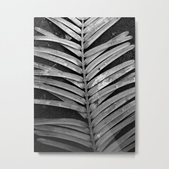 nature rib XI Metal Print