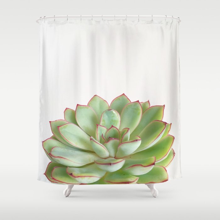 Green Succulent Shower Curtain by Cassia Beck Society6