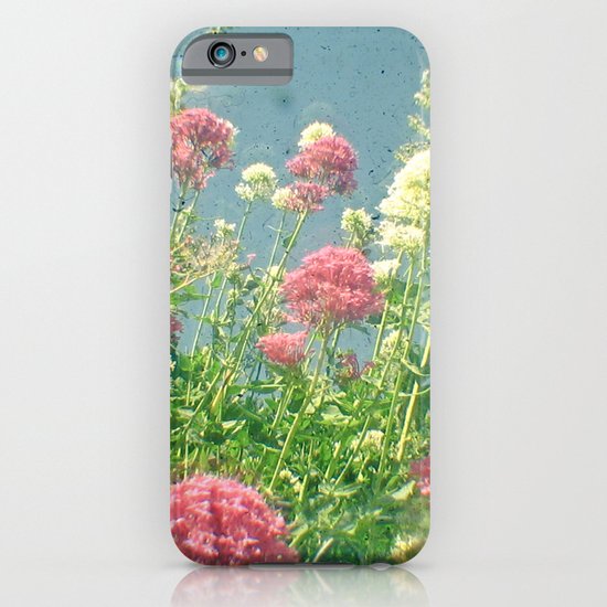 Raspberries and Cream iPhone & iPod Case