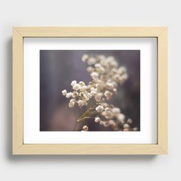 Pretty White Flowers Recessed Framed Print