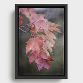 fall cascade Framed Canvas