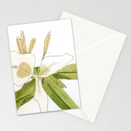 Caña de ámbar flower watercolor painting Stationery Cards