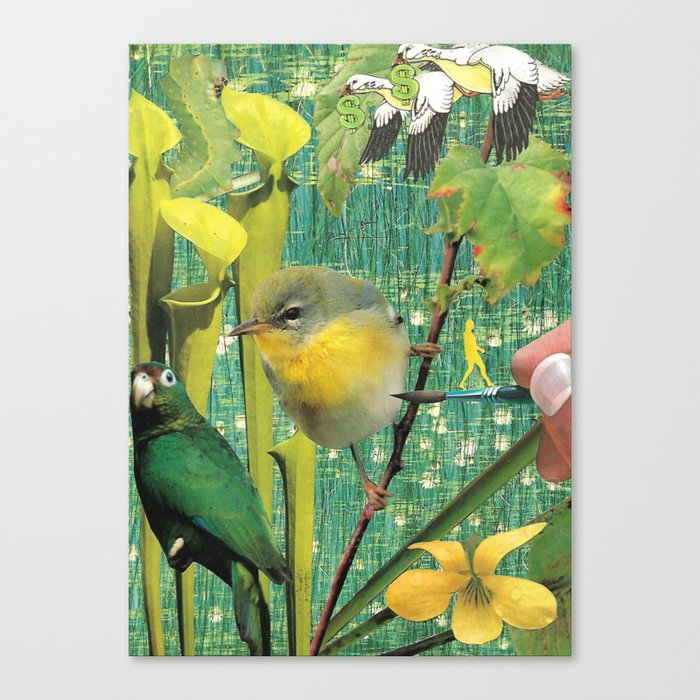Bird's Luck Canvas Print