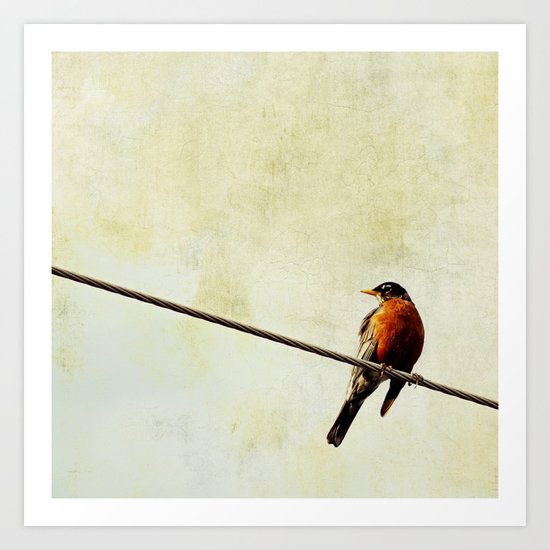 Robin Art Print