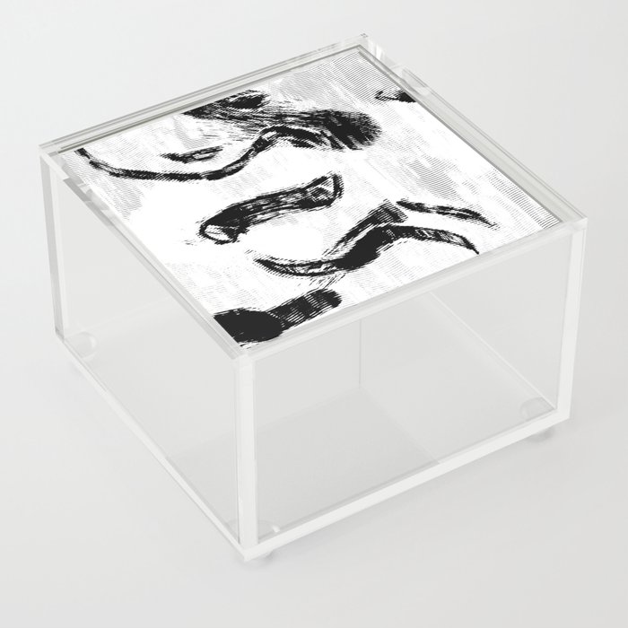 Abstract black and white Acrylic Box