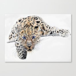Local Eyes 'Leopard' Canvas Print