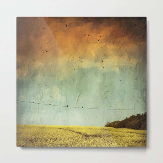 Canola Spring Metal Print