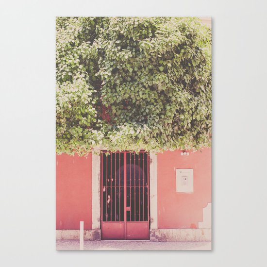 Behind the red door Canvas Print