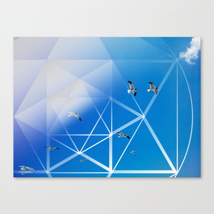 Gulls in Hexagram Flight Canvas Print