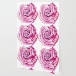 Rose Painting Wallpaper For Any Decor Style Society6