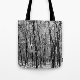Snow Laden Birch Trees in Black and White Tote Bag