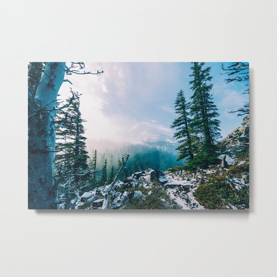 Overlook the Wilderness Metal Print
