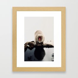 Snow Monkey Japan Framed Art Print
