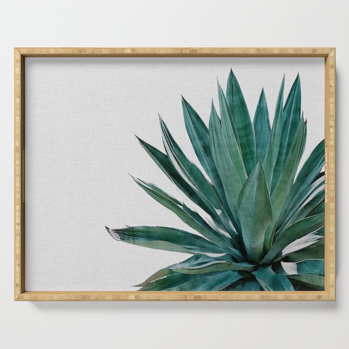 Agave Cactus Serving Tray