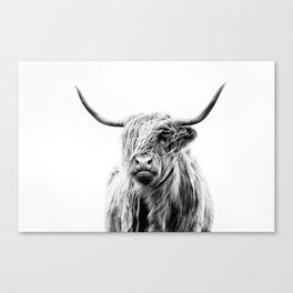 portrait of a highland cow (horizontal) Canvas Print