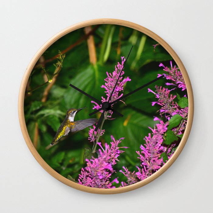 Hummingbird and agastache flower 60 Wall Clock