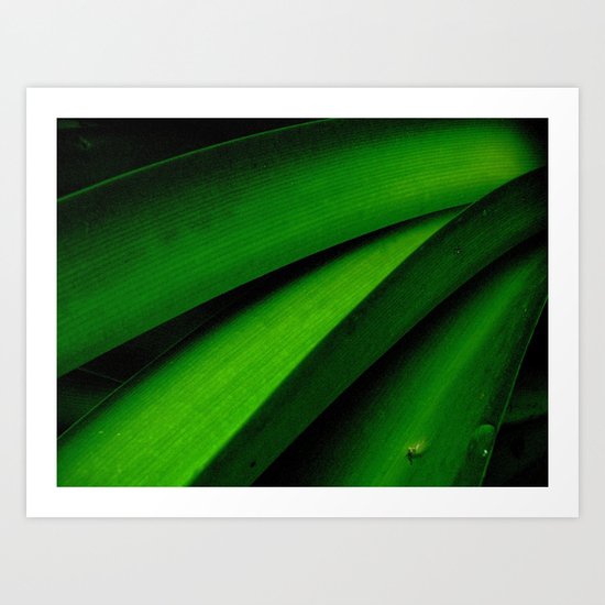 Greener than Green Art Print
