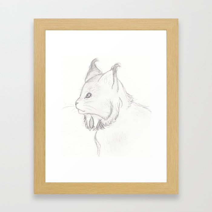 Canada lynx Framed Art Print