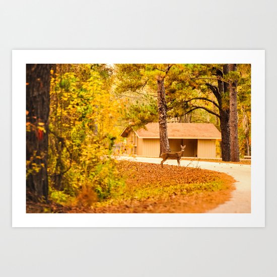 Visitor at the Park Art Print