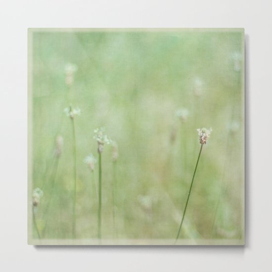 field of dreams Metal Print