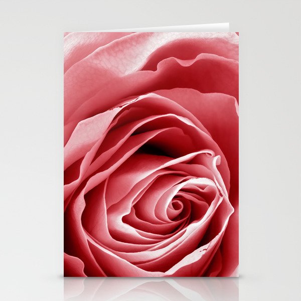 Pink Rose Macro Stationery Cards