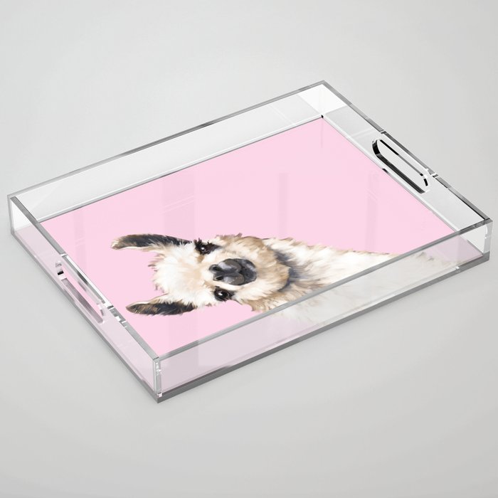 Sneaky Llama in Pink Acrylic Tray