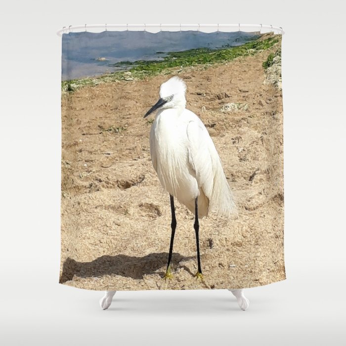 A friendly Heron on the beach Shower Curtain