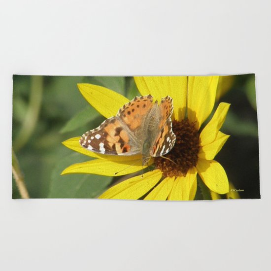 Painted Lady Butterfly Picks Pollen Beach Towel