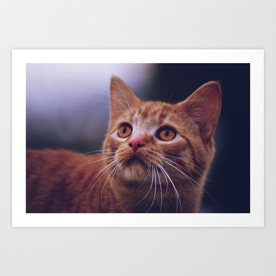 Kitty Art Print