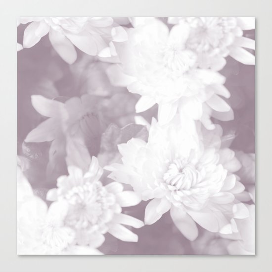 Elegant beauty - white flowers on purple background Canvas Print