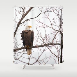 Bald Eagle Shower Curtain