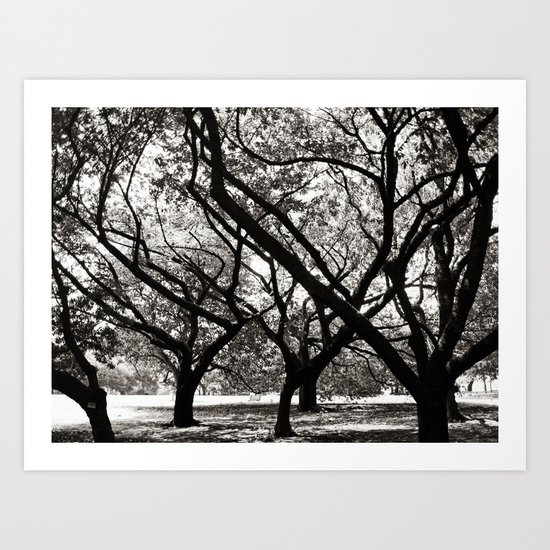 Trees of Harajuku Art Print